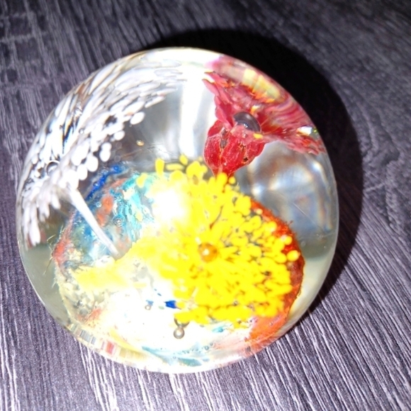 Collector's Decorative Spheres - Picture 7 of 7
